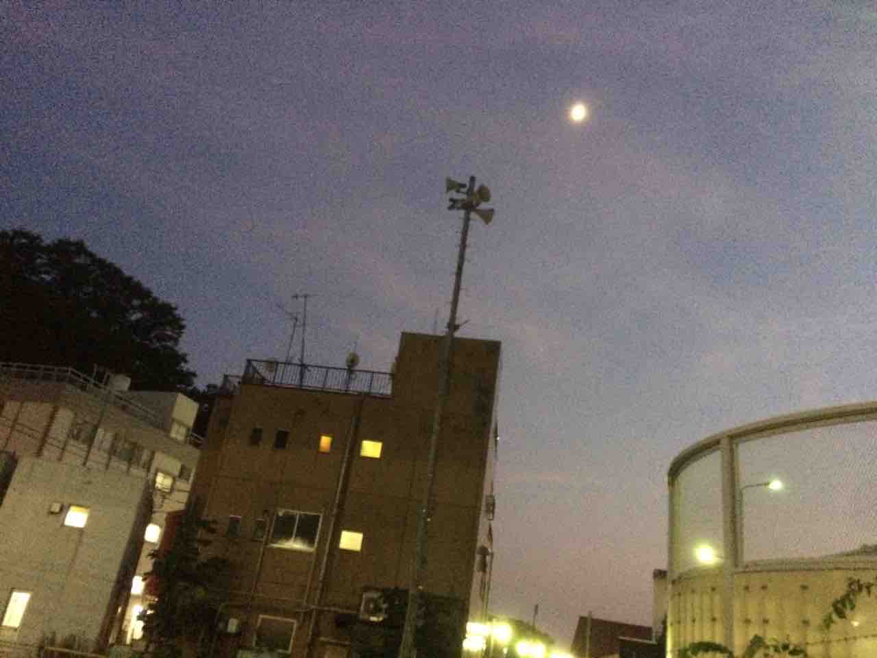 大磯退屈日記 ホッヤさんの磯町diary 大磯退屈日記 ホッヤさんの磯町diary