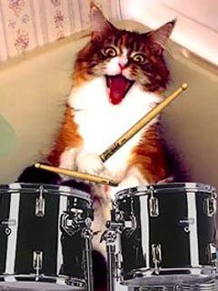 最後の砦 ドラマーキャッツ ちこ s ブログ 最後の砦 ドラマーキャッツ ちこ s ブログ