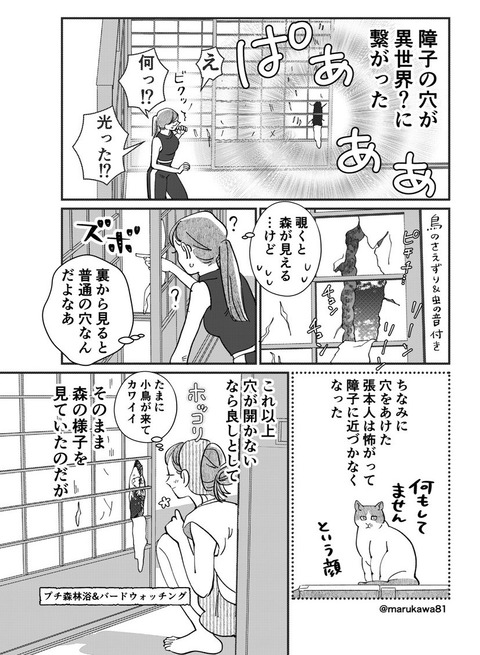 64a2218b-s.jpg