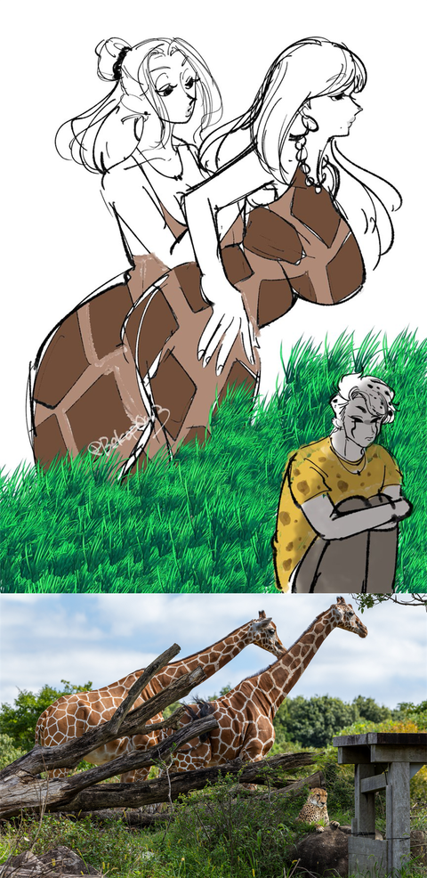 a39d5e91-s.png