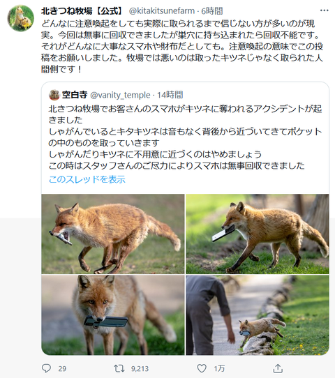 ab1ca6f6-s.png