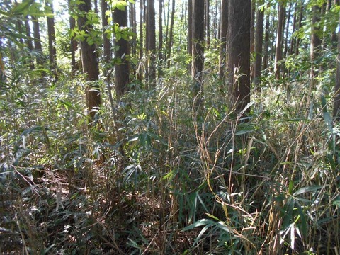 20191010_DSCN4339