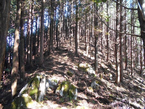 20191016_DSCN4445