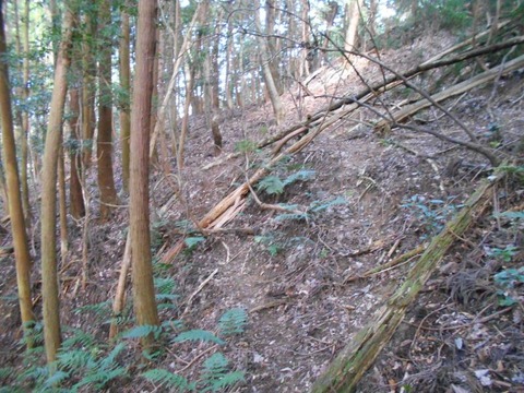 20191010_DSCN4330