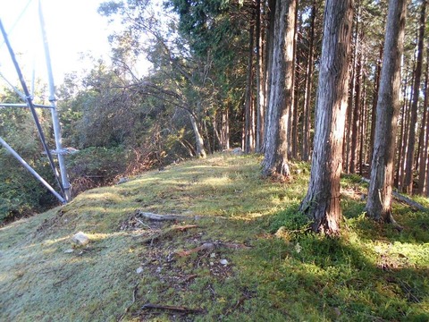 20191016_DSCN4411