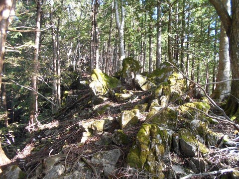 20191016_DSCN4417