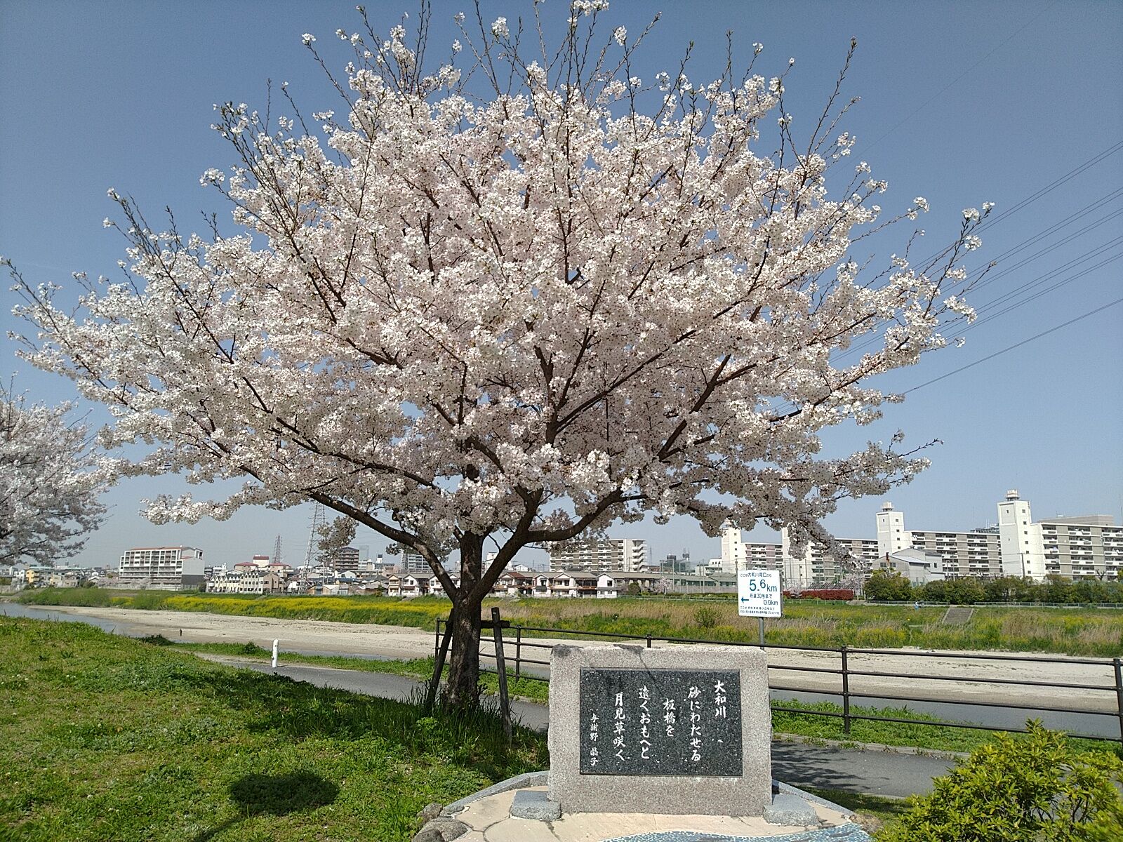 堺市堺区 浅香山浄水場に行ってみる Ryokutyaの山行備忘録