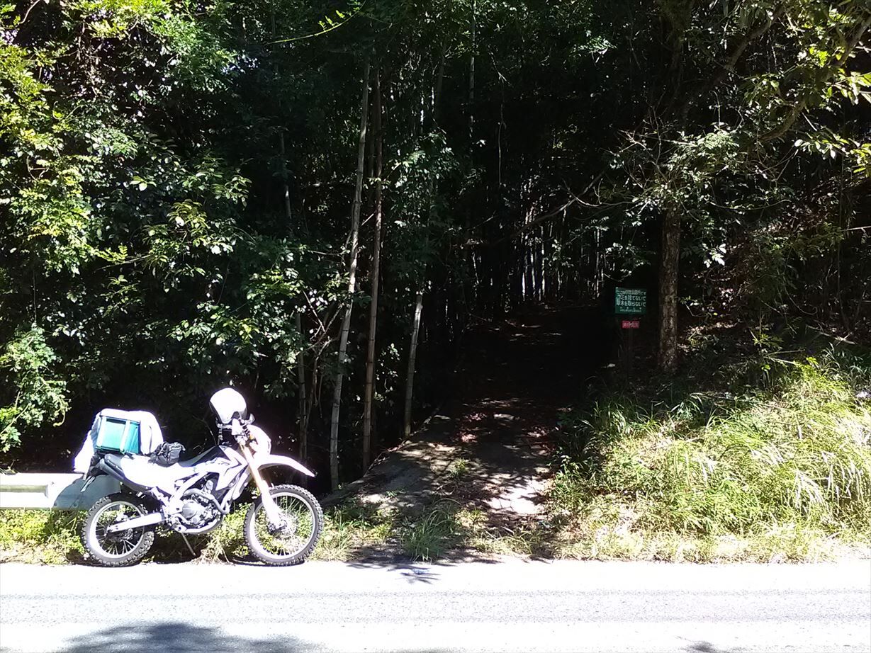 楽天ブックス: 和歌山市南（紀ノ川以南）（202407