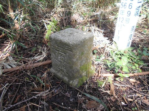 20191010_DSCN4335