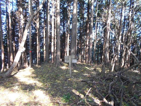 20191016_DSCN4437