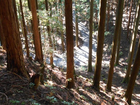 20191016_DSCN4478