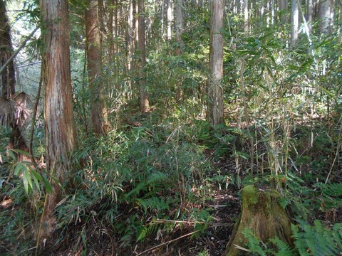 20191010_DSCN4326