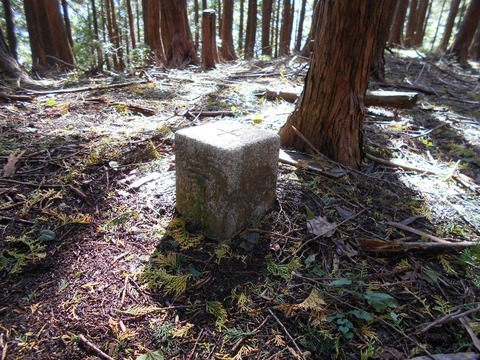 20191016_DSCN4465