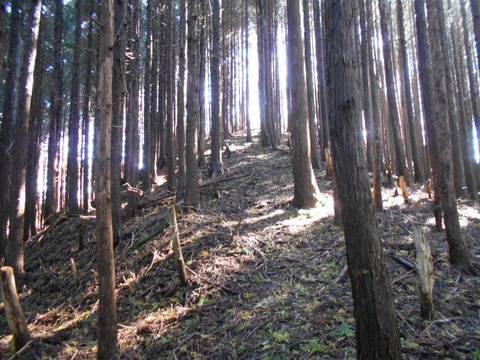 20191016_DSCN4458
