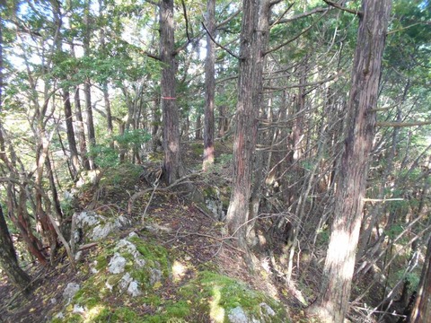 20191016_DSCN4434