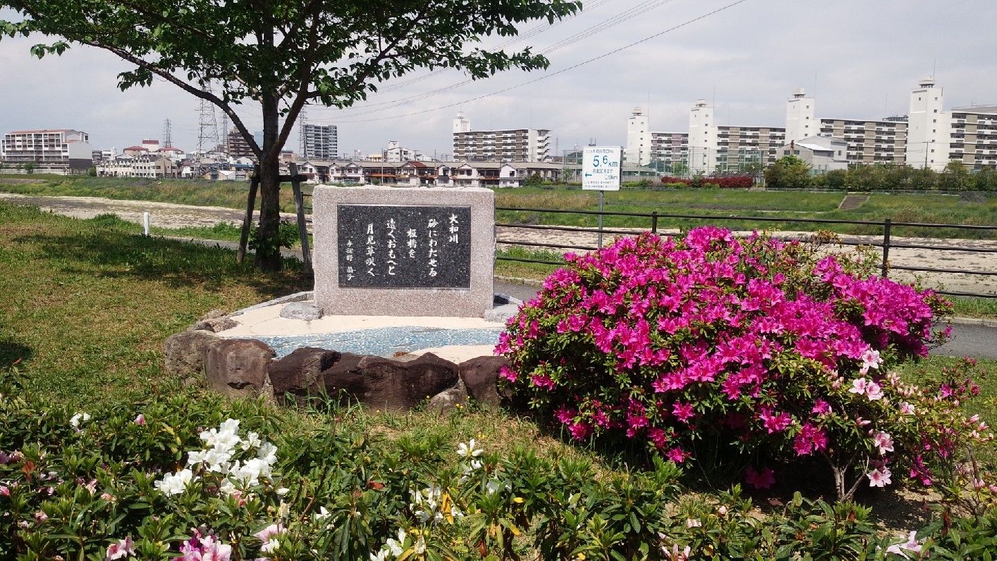 浅香山浄水場のつつじ 時点の開花状況 Ryokutyaの山行備忘録 浅香山浄水場のつつじ 時点の開花状況 Ryokutyaの山行備忘録