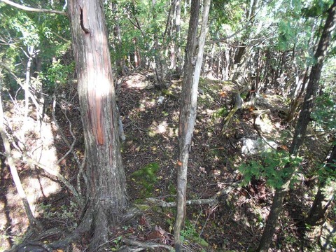 20191016_DSCN4432