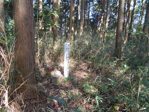 20191010_DSCN4333