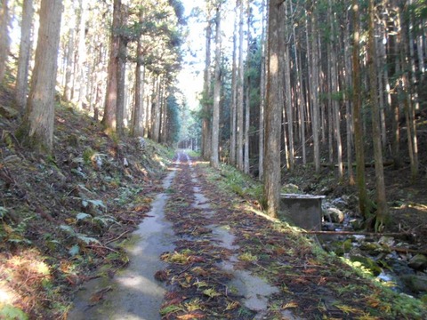 20191016_DSCN4397