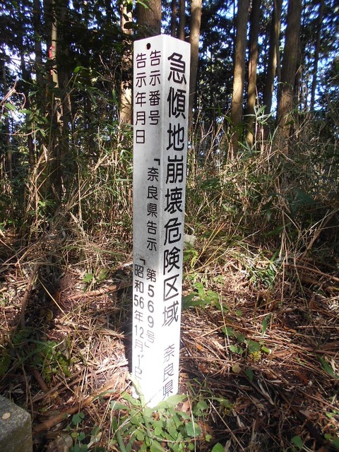 20191010_DSCN4338