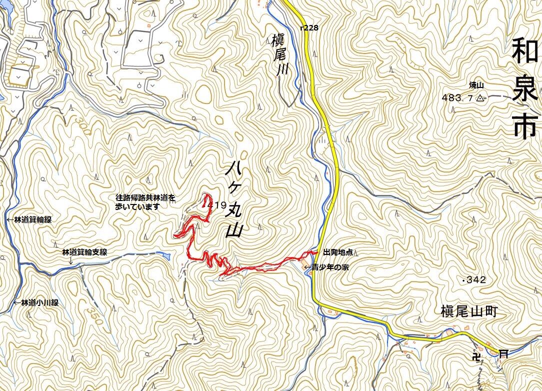 和泉市、青少年の家前から八ヶ丸山 : ryokutyaの山行備忘録