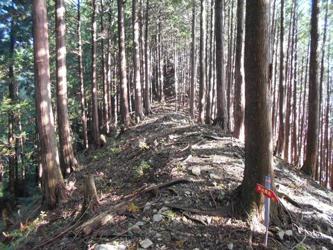 20191016_DSCN4418