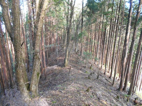 20191016_DSCN4435