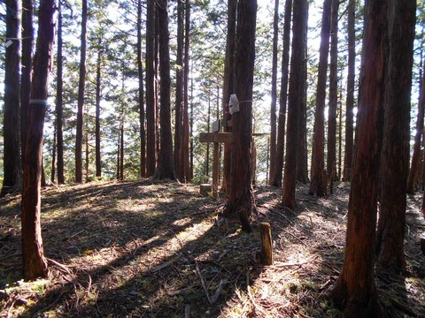 20191016_DSCN4460