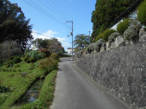 20191010_DSCN4349