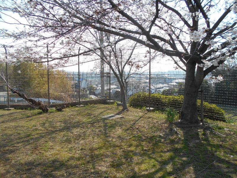 堺市美原区丹上地区の丹上、小平尾地区の東多治井公園、三角点探訪(150) ryokutyaの山行備忘録 堺市美原区丹上地区の丹上、小平尾地区の東多治井公園、三角点探訪(150) ryokutyaの山行備忘録