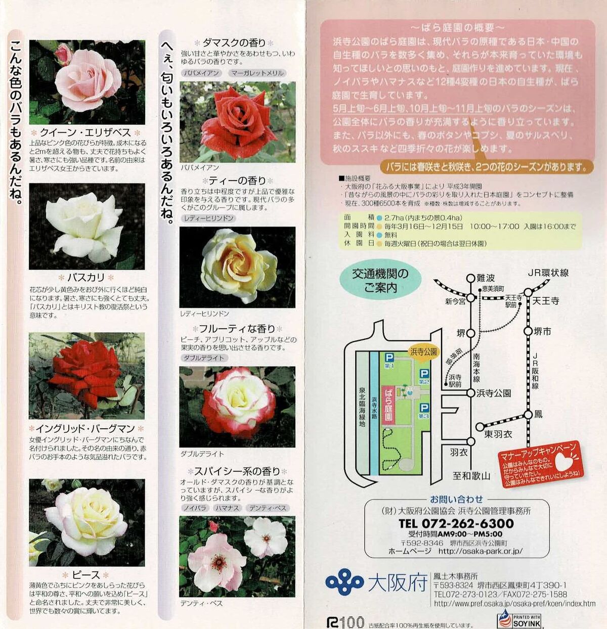浜寺公園のばら庭園 Ryokutyaの山行備忘録