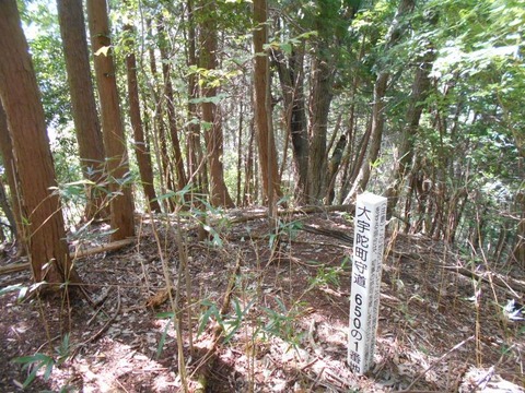20191010_DSCN4340