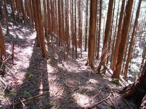 20191016_DSCN4477