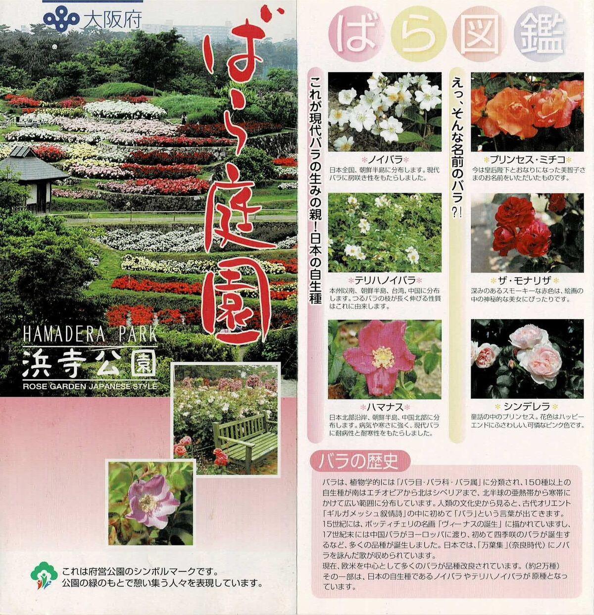 浜寺公園のばら庭園 Ryokutyaの山行備忘録