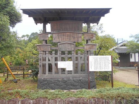 20200730_DSCN8629