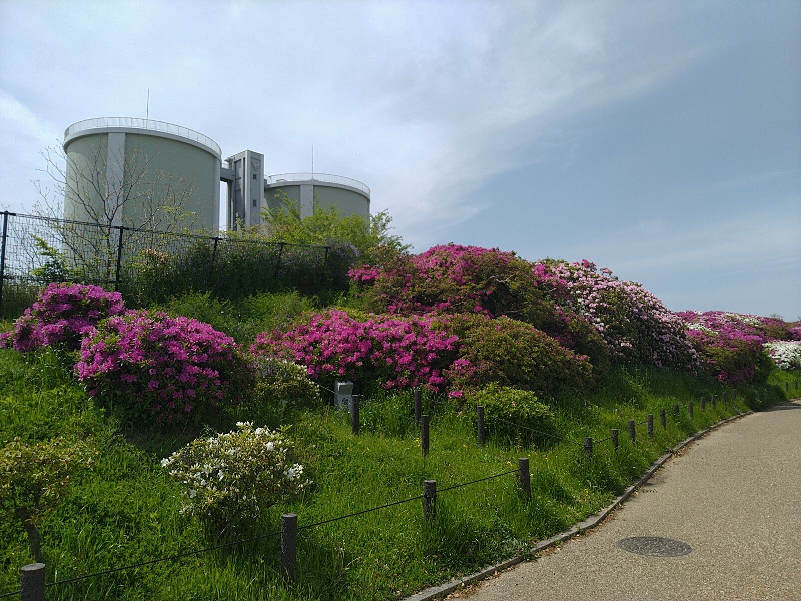 堺市堺区 浅香山浄水場に再訪 Ryokutyaの山行備忘録