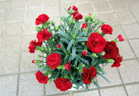 CIMG0679