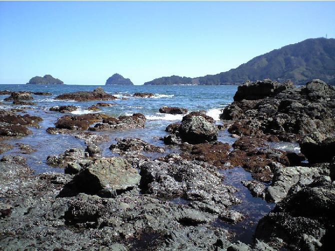 尾鷲湾北側の磯 熊野路名跡旧跡 林道地図