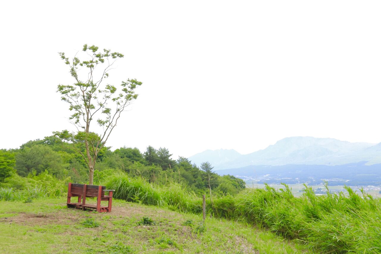 田子山展望所 そらふねの桟橋カフェ ゴート写真旅
