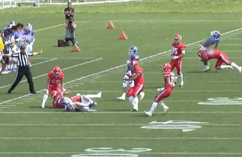 2chまとめ【アメフト】日大選手が声明文発表／全文 原文まま ★2 ほろよひ人生