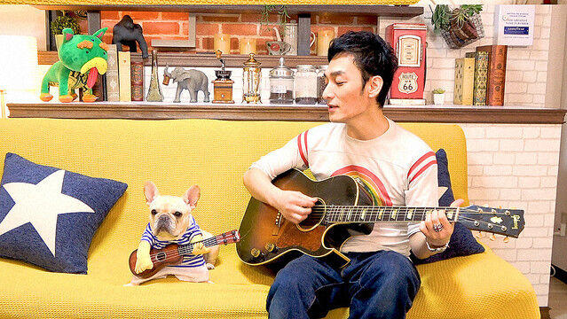 草なぎ剛と愛犬 クルミ 僕より人気 笑いも取れる女優 のんびりジャニーズ関係ニュース 草なぎ剛と愛犬 クルミ 僕より人気 笑いも取れる女優 のんびりジャニーズ関係ニュース
