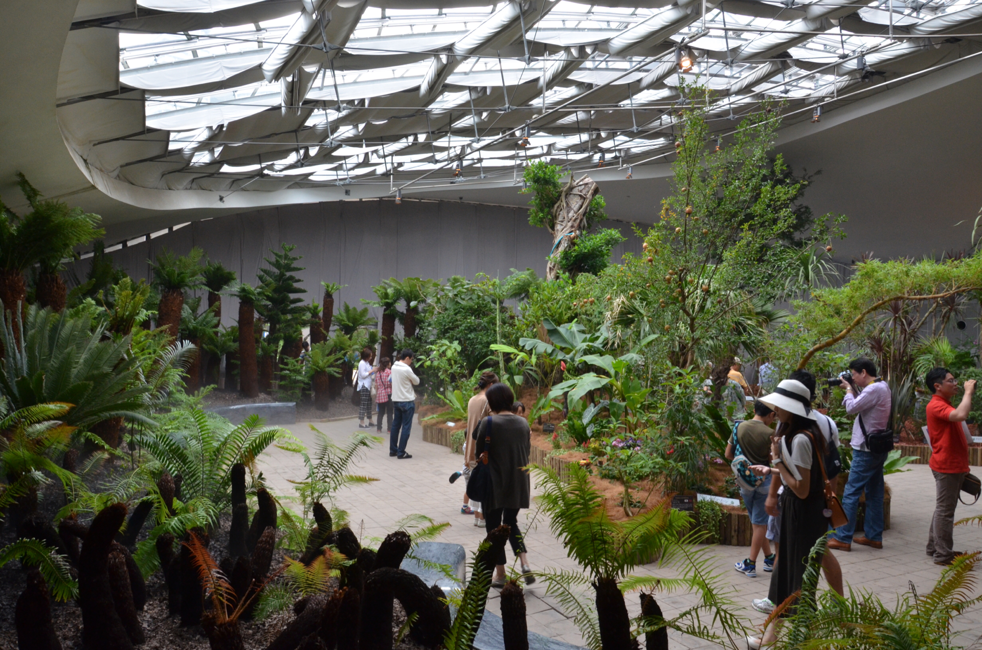 世界7大陸植物園を見にアイランドシティへ行ってきました Aloha 4 Life 世界7大陸植物園を見にアイランドシティへ行ってきました Aloha 4 Life