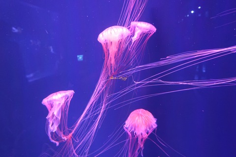 08IMG_2358