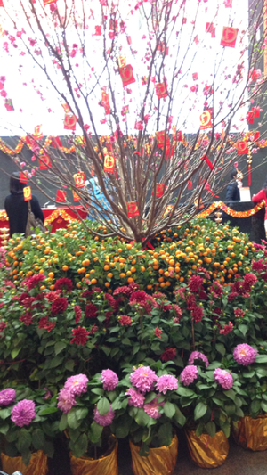 HSBC新年