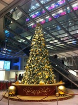 香港HSBC本店クリスマスツリー