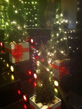 ミニクリスマスツリー　香港フォトギャラリー2010