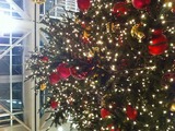 香港クリスマスツリー