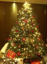 香港クリスマスツリー！