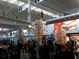 香港国際空港クリスツリー