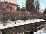 IMG_8892